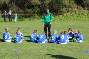 德甲球队战术模拟平台辅助比赛策略调整的应用研究，德甲游戏